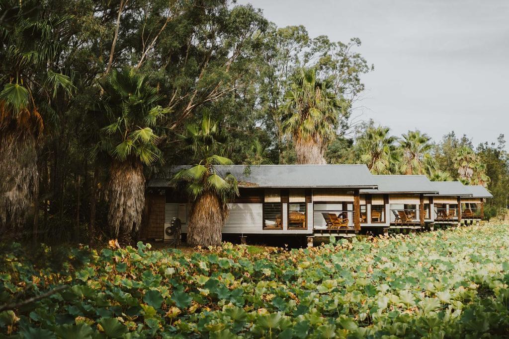 The Boathouses At Leaves & Fishes Lovedale Dış mekan fotoğraf