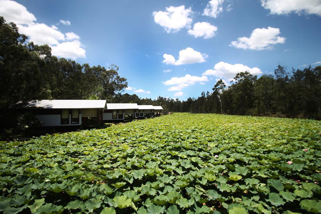 The Boathouses At Leaves & Fishes Lovedale Dış mekan fotoğraf